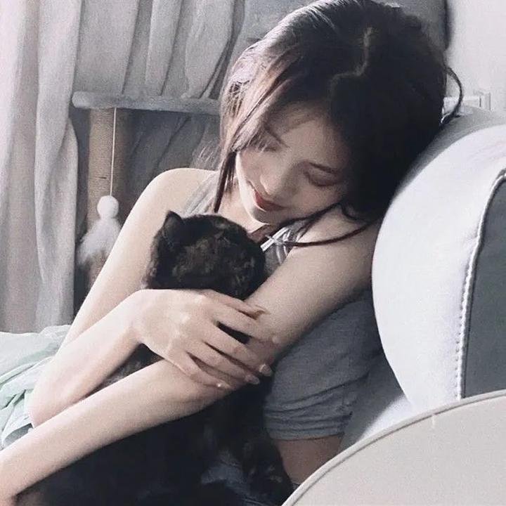 燕子与鹦鹉